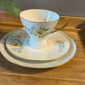 Rosenthal tea cup saucer dessert plate set gold gilt handle vintage **READ**